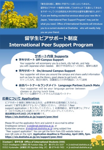 Peer support program 2022