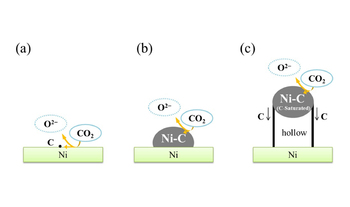 Schematic model depicting the stepwise formation of multi-walled carbon nanotube on a nickel substrate