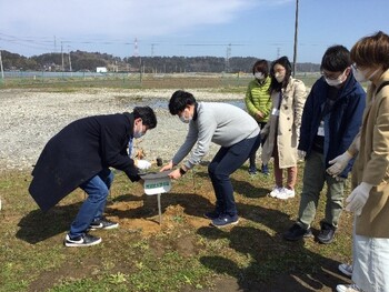 きねんのしょくじゅ