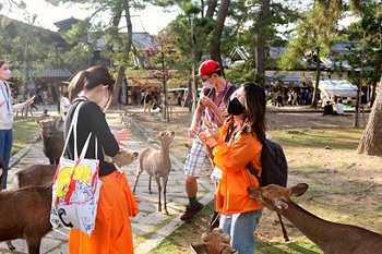 nara