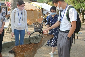 nara