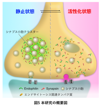 論文内容の図