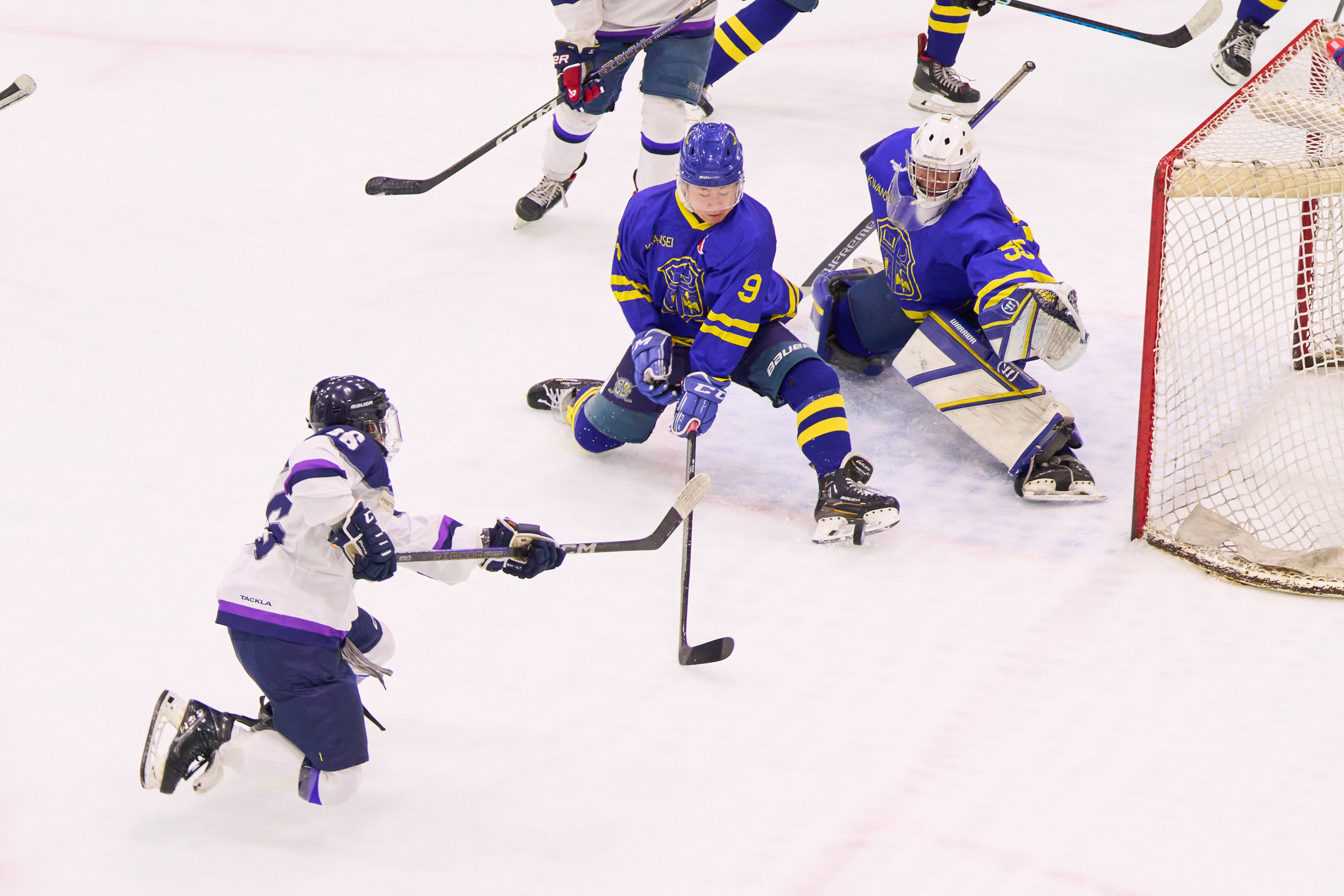 icehockey-12.jpg (108381)