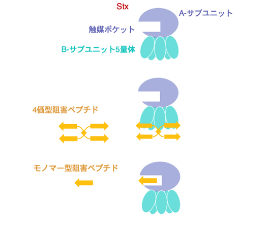 takahashi_illust1.jpg (91017)