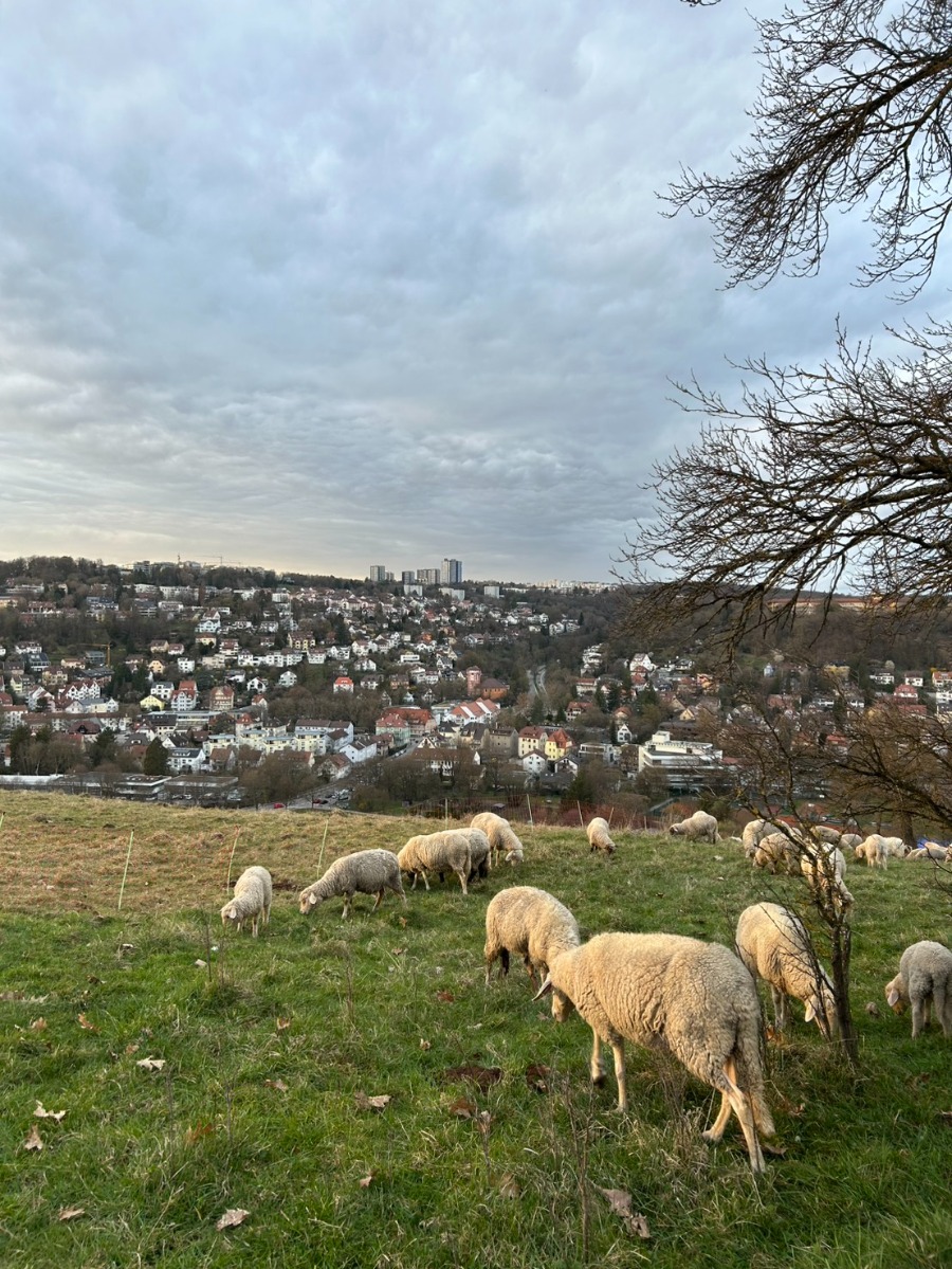 Tuebingen Oesterberg