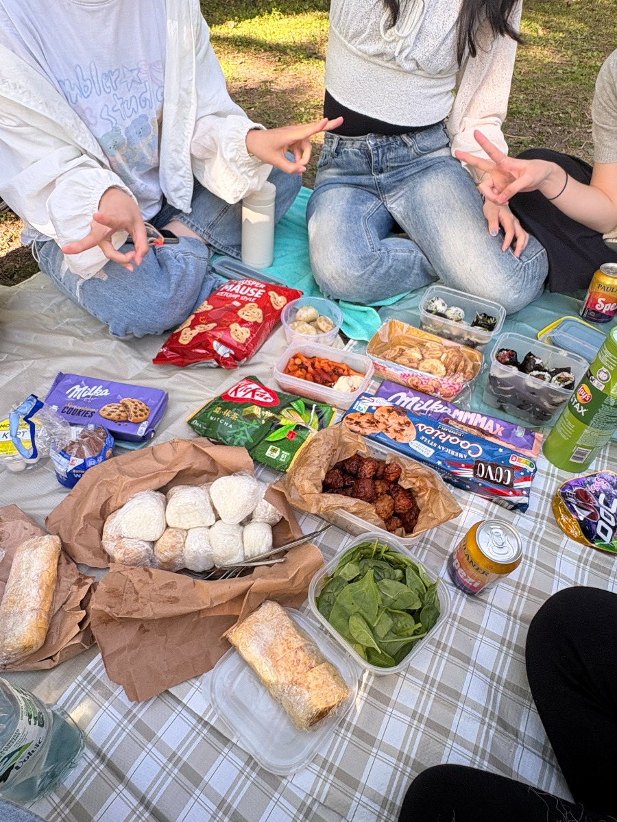Picknick