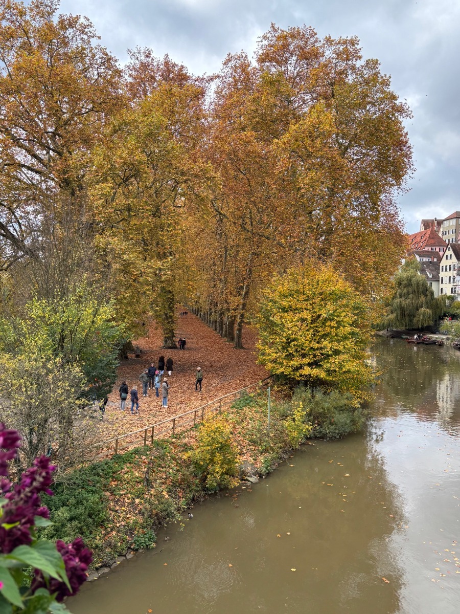 Herbst in Tuebingen