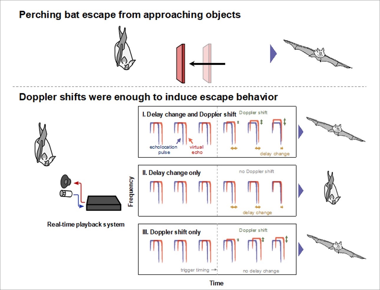 Image Proteostasis