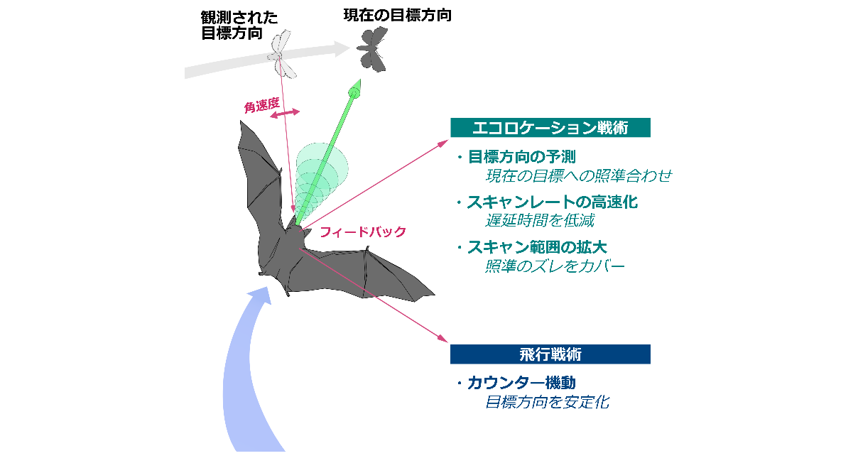 2024_no10_press_コウモリ01.png (101850)