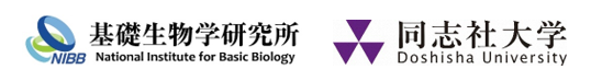 2024_no10_press_コウモリ02.png  (101853)