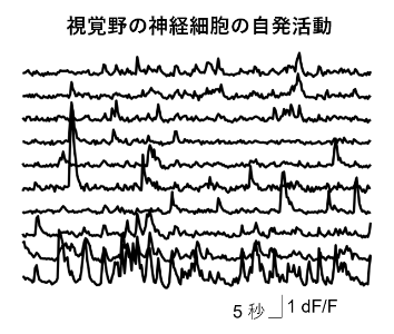 2024_no43_press_東京大学共同プレスリリースb.png (107977)