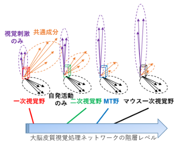 2024_no43_press_東京大学共同プレスリリースc.png (107978)