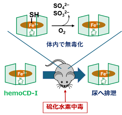 2024_no44_press_佐賀大学共同プレスリリース3.png (108172)