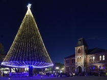 今出川クリスマス・イルミネーション点灯式