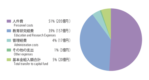 Breakdown of Consumer Expenditure + Transfer to Capital Fund